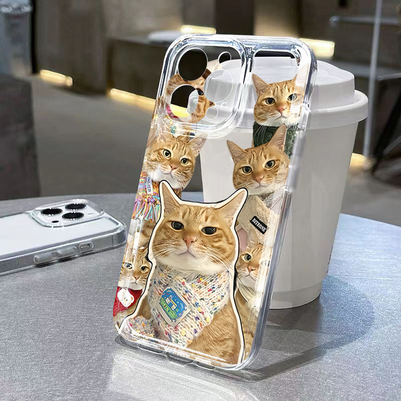 غطاء هاتف شفاف بتصميم قطة لطيف - مراجعة Phone Cases Galaxy A17 وسعره